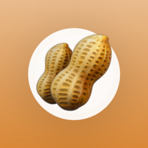 בוטנים קלויים ומלוחים 500 גרם